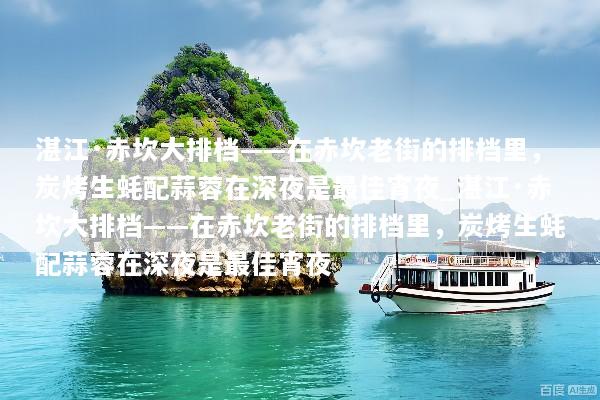 湛江·赤坎大排档——在赤坎老街的排档里，炭烤生蚝配蒜蓉在深夜是最佳宵夜_湛江·赤坎大排档——在赤坎老街的排档里，炭烤生蚝配蒜蓉在深夜是最佳宵夜