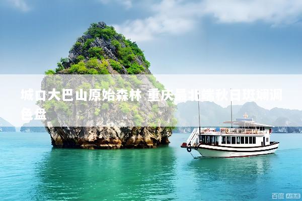 城口大巴山原始森林 重庆最北端秋日斑斓调色盘