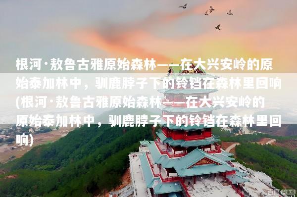 根河·敖鲁古雅原始森林——在大兴安岭的原始泰加林中，驯鹿脖子下的铃铛在森林里回响(根河·敖鲁古雅原始森林——在大兴安岭的原始泰加林中，驯鹿脖子下的铃铛在森林里回响)