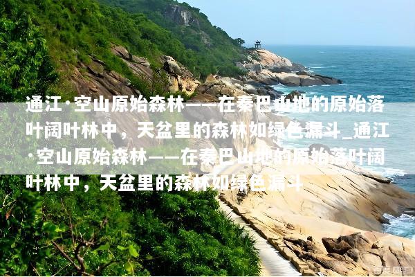 通江·空山原始森林——在秦巴山地的原始落叶阔叶林中，天盆里的森林如绿色漏斗_通江·空山原始森林——在秦巴山地的原始落叶阔叶林中，天盆里的森林如绿色漏斗