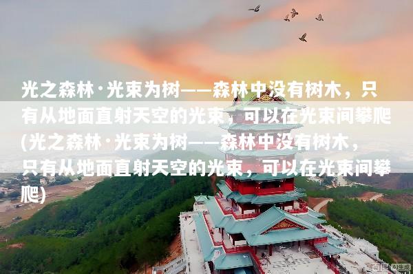 光之森林·光束为树——森林中没有树木，只有从地面直射天空的光束，可以在光束间攀爬(光之森林·光束为树——森林中没有树木，只有从地面直射天空的光束，可以在光束间攀爬)