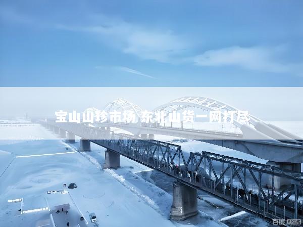 宝山山珍市场 东北山货一网打尽