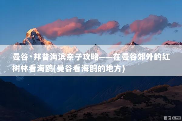 曼谷·邦普海滨亲子攻略——在曼谷郊外的红树林看海鸥(曼谷看海鸥的地方)